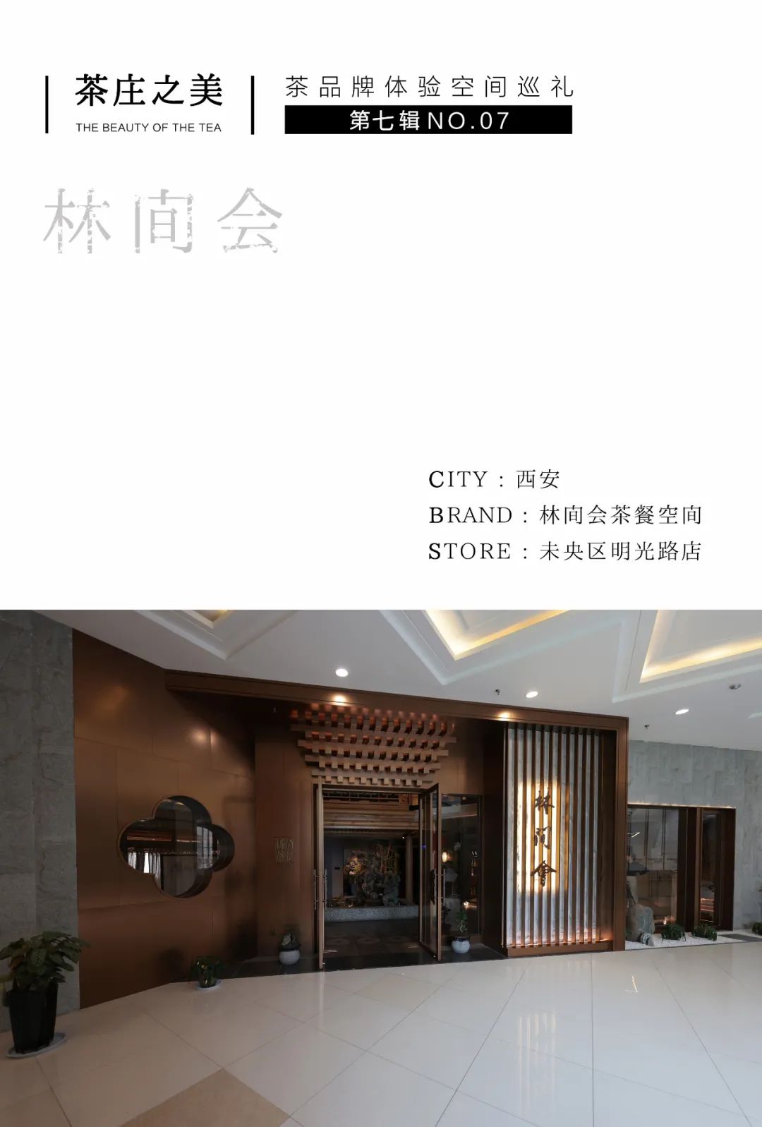 茶品牌體驗空間巡禮第七輯 | 林間會,中國式「森」系插圖 茶品牌體驗空間巡禮第七輯 | 林間會,中國式「森」系插圖