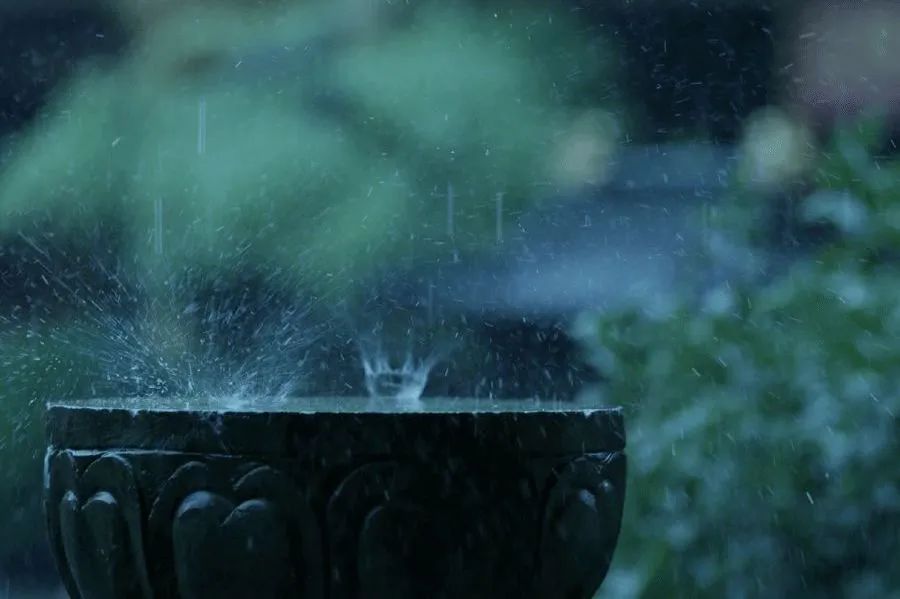 特別策劃 | 茶室中國NO.2 風雨入室來插圖3 特別策劃 | 茶室中國NO.2 風雨入室來插圖3